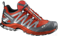 Salomon XA Pro 3D Ultra GTX flea/black/cane