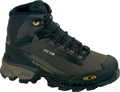 Salomon Revo SCS GTX Women thyme/autobahn/moss