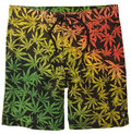Fallen Boardshort Badehose Rasta Leaf