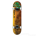 My Area Skateboard Dragon