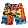 SANTA CRUZ Badehose STROKES blue pop