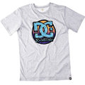 DC Par Basic T-shirt Herren grau DC Par Basic T-shirt Herren grau