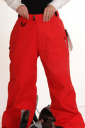 Zembla Sean Snowboard Pants Red